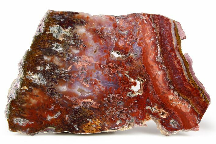 Polished Sicat Plume Agate Slab - Cady Mountains, California #184951